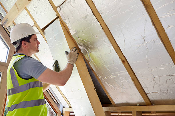 Best Residential Insulation in Reidland, KY