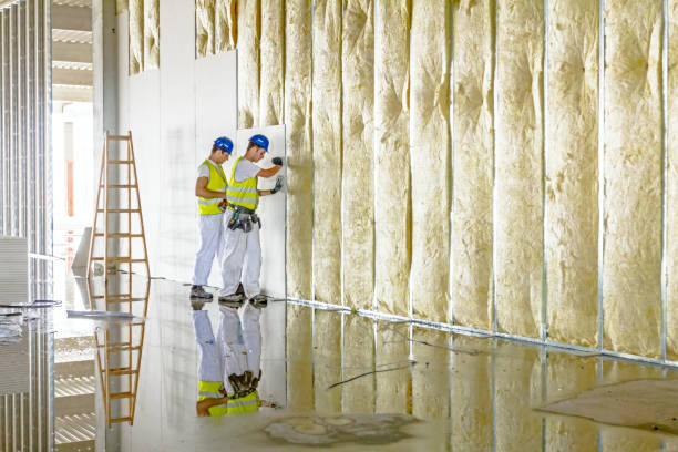 Best Insulation Maintenance and Repair in Reidland, KY